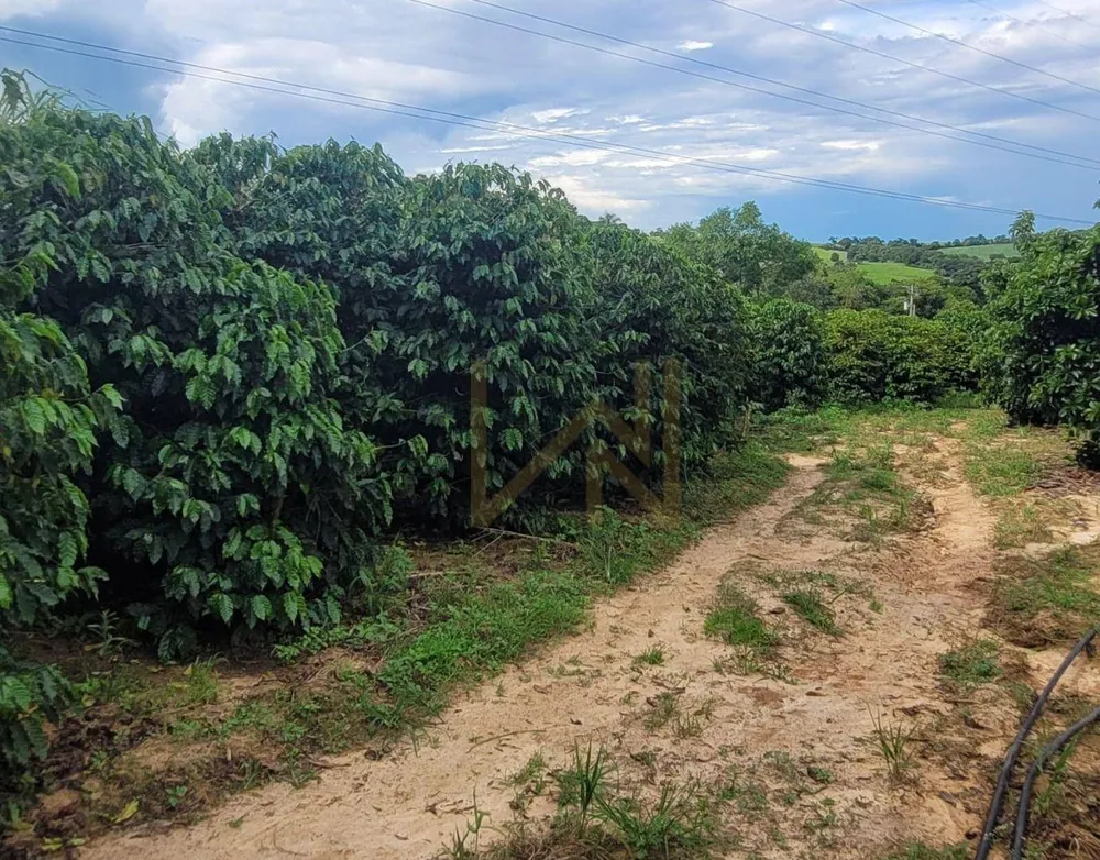Terreno, 5 hectares - Foto 4