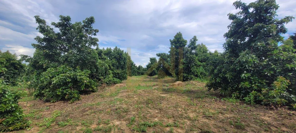 Terreno, 5 hectares - Foto 3