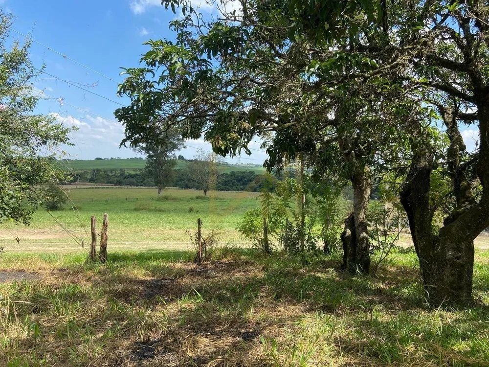 Sítio, 17 hectares - Foto 3