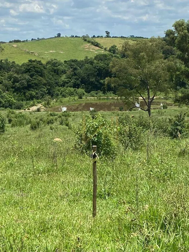 Sítio, 17 hectares - Foto 6