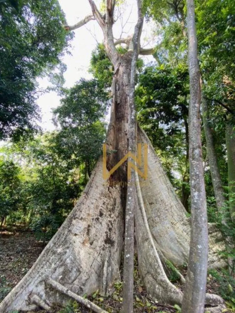 Chácara, 2 quartos, 7 hectares - Foto 4