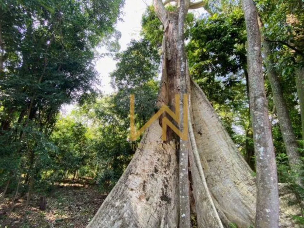 Chácara, 2 quartos, 7 hectares - Foto 11