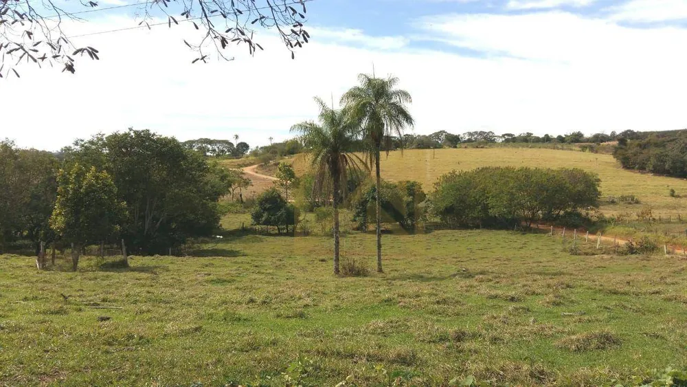 Chácara, 3 quartos, 4 hectares - Foto 4