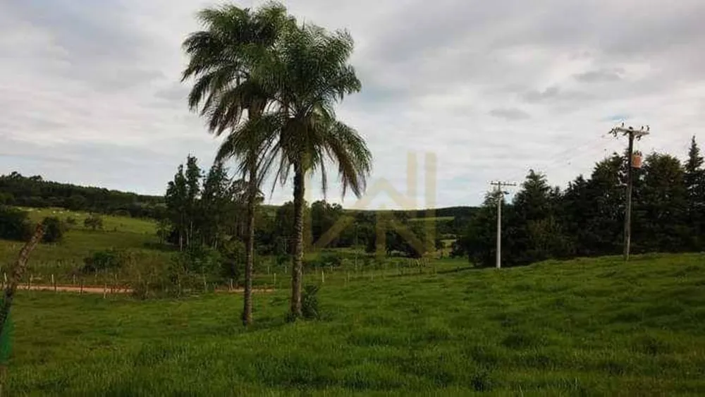 Chácara, 3 quartos, 4 hectares - Foto 1