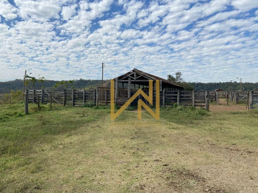 Fazenda, 404 hectares - Foto 9