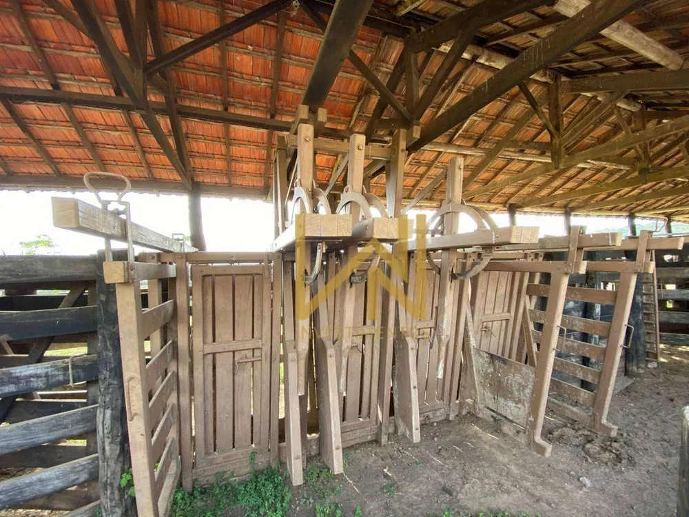 Fazenda, 404 hectares - Foto 10