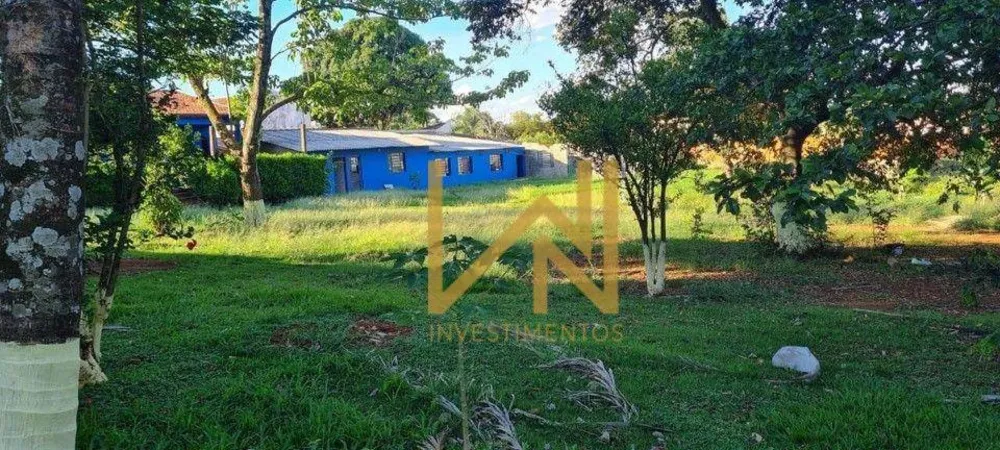 Chácara, 4 quartos, 4000 m² - Foto 2