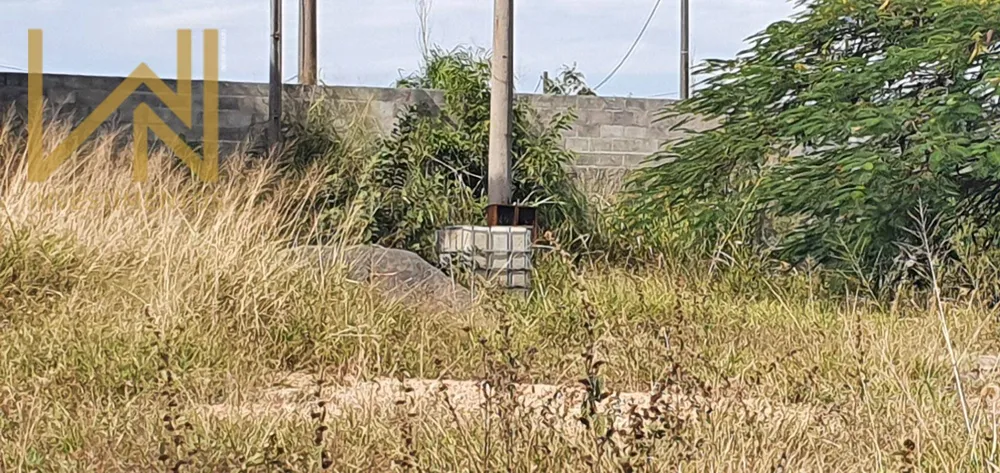 Depósito-Galpão, 850 m² - Foto 5