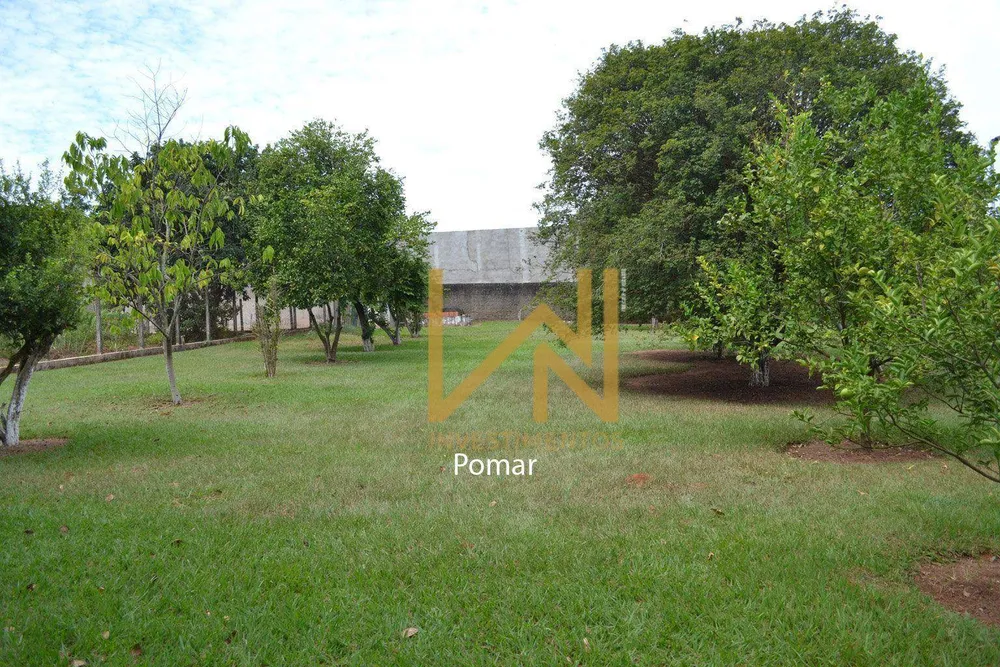 Chácara, 4 quartos, 6000 m² - Foto 2