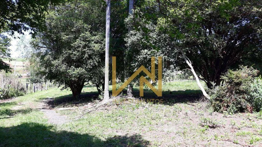 Chácara, 3 quartos, 10 hectares - Foto 2
