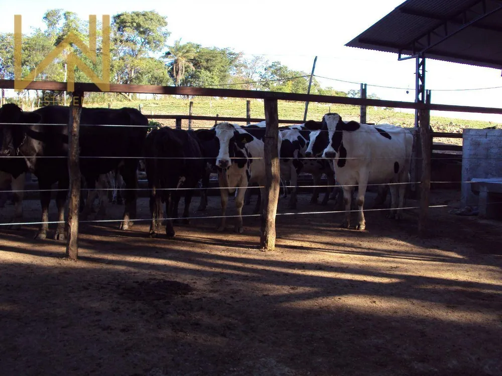 Sítio, 4 quartos, 28 hectares - Foto 10