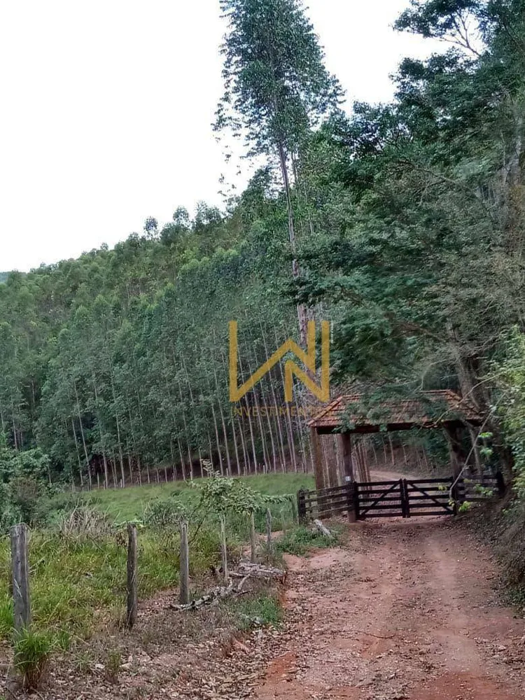 Fazenda, 122 hectares - Foto 3