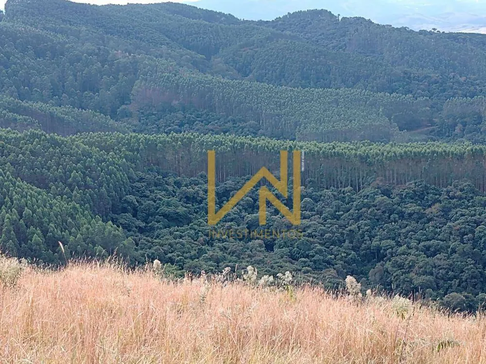 Fazenda, 122 hectares - Foto 9
