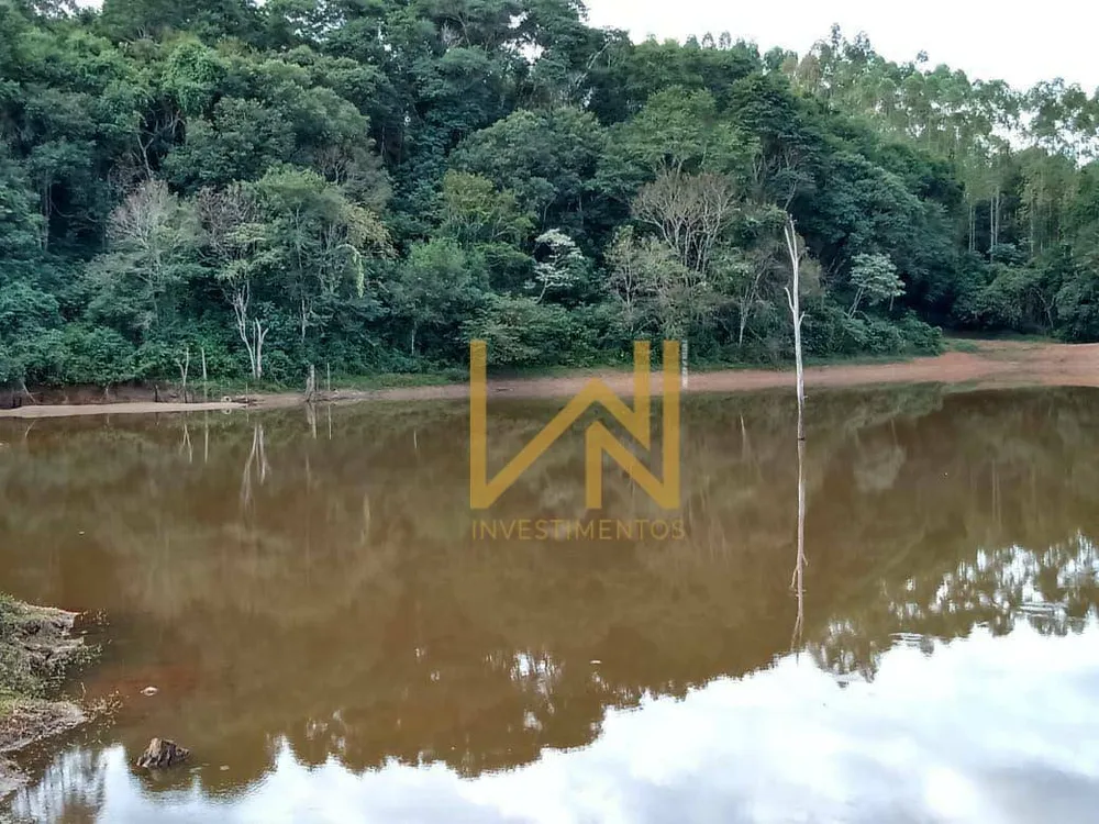 Fazenda, 122 hectares - Foto 6