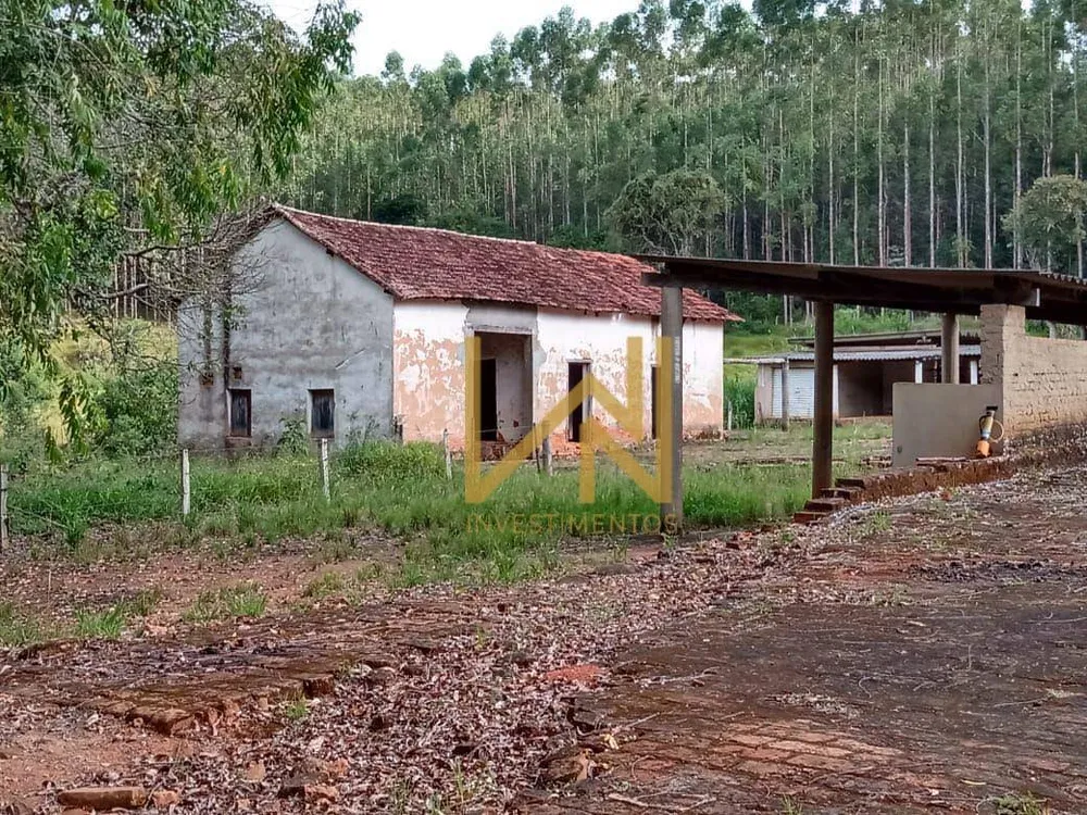 Fazenda, 122 hectares - Foto 7