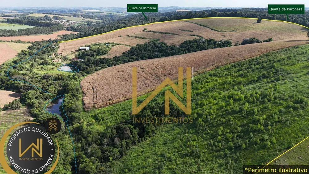 Terreno, 38 hectares - Foto 4