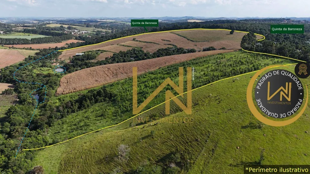 Terreno, 38 hectares - Foto 3