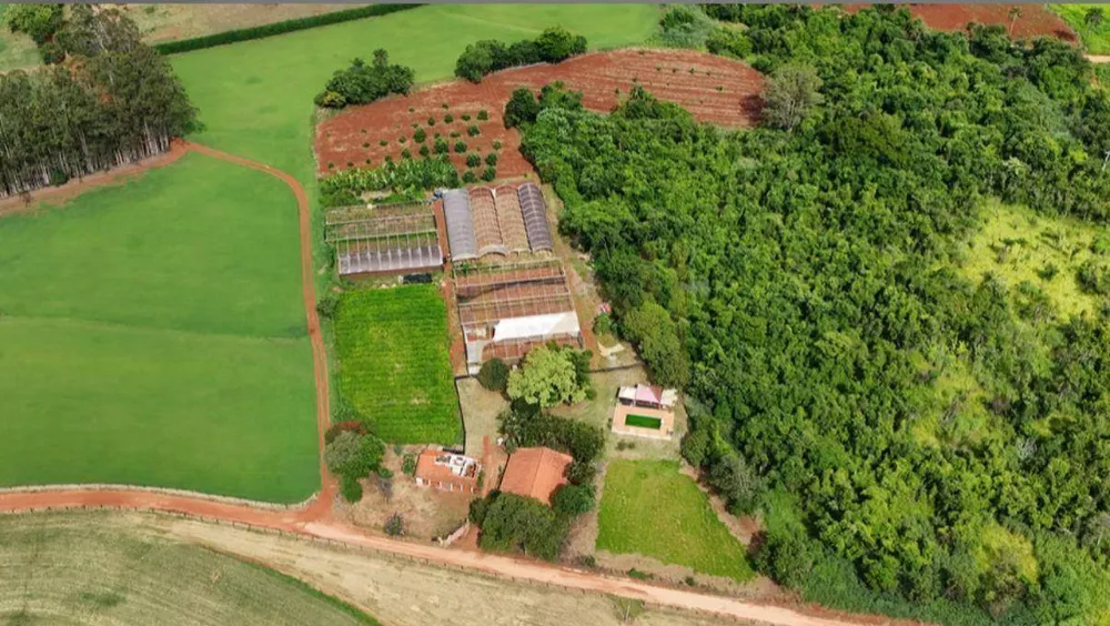 Chácara, 4 quartos, 2 hectares - Foto 6