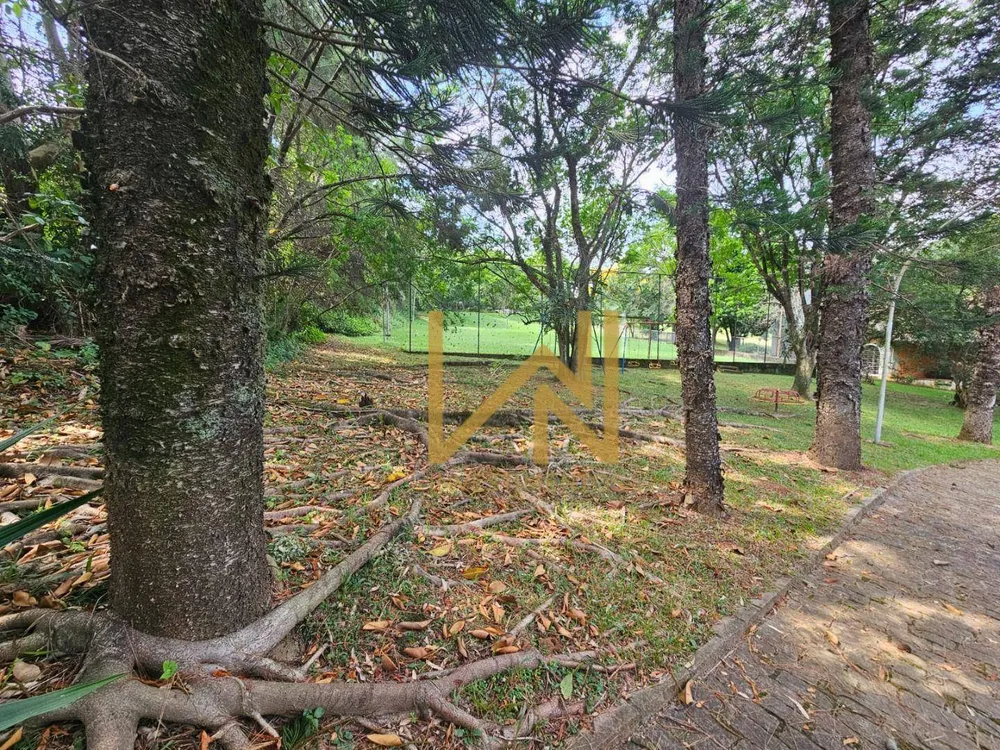 Terreno, 1 hectares - Foto 10