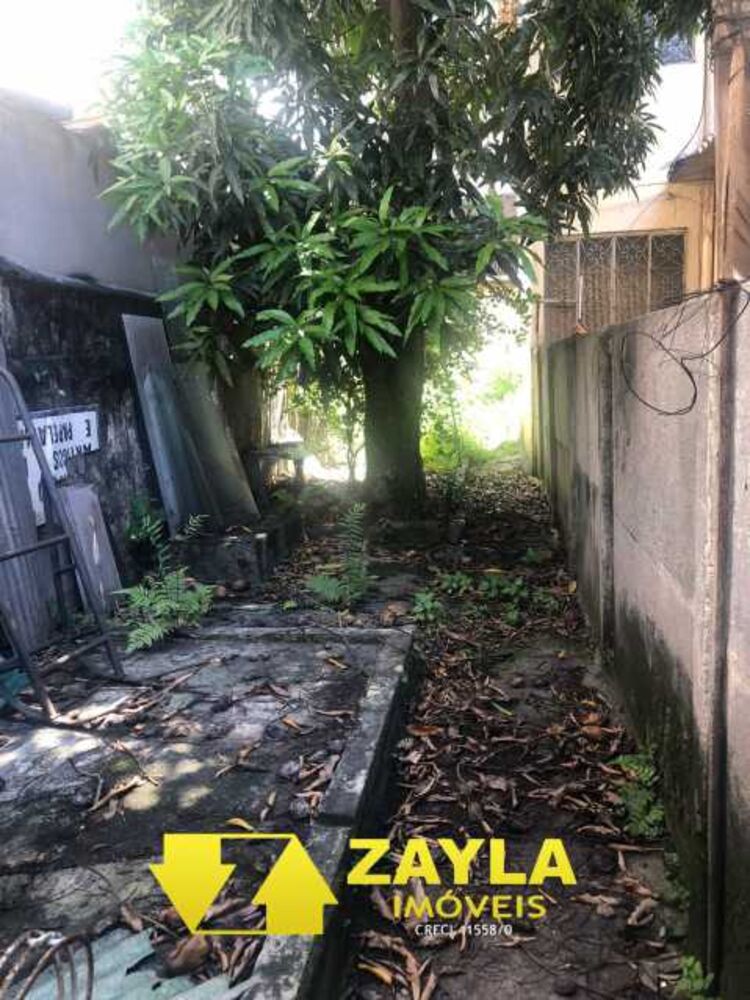 Casa, 3 quartos, 320 m² - Foto 26