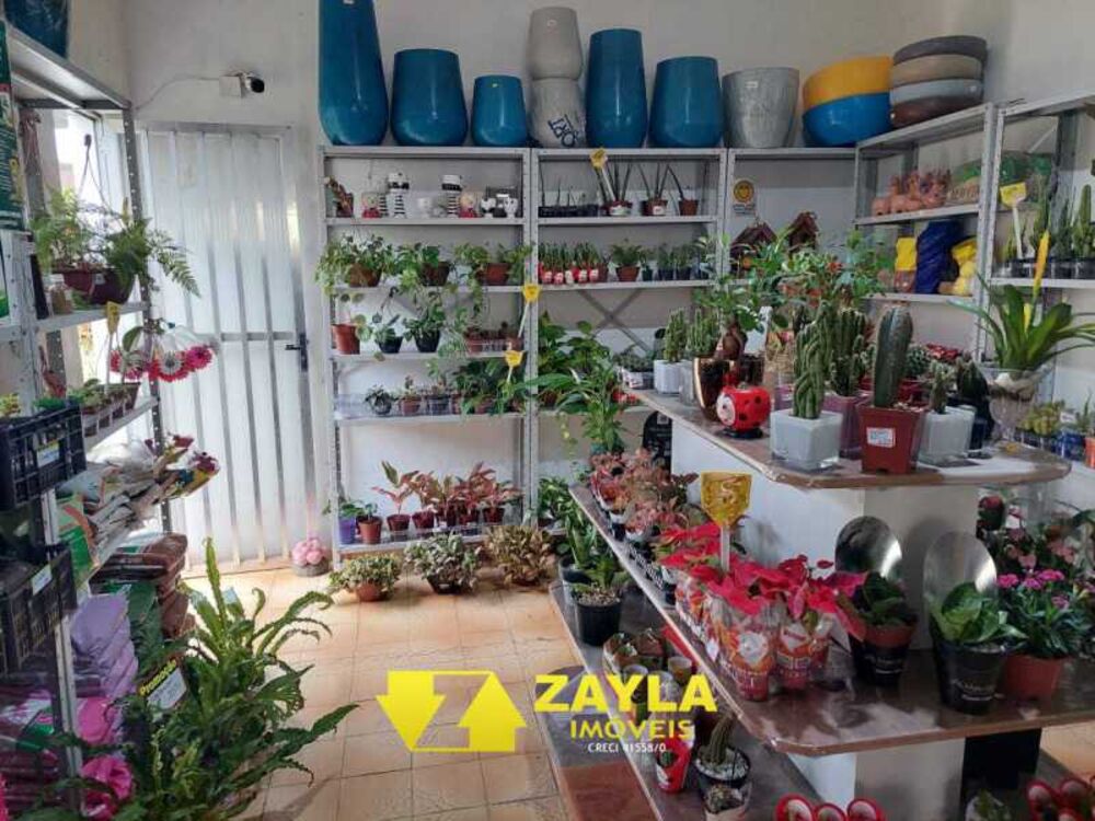 Casa, 4 quartos, 80 m² - Foto 14
