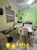 Cobertura, 4 quartos, 165 m² - Foto 4