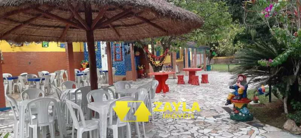 Sítio, 6 quartos, 2 hectares - Foto 15