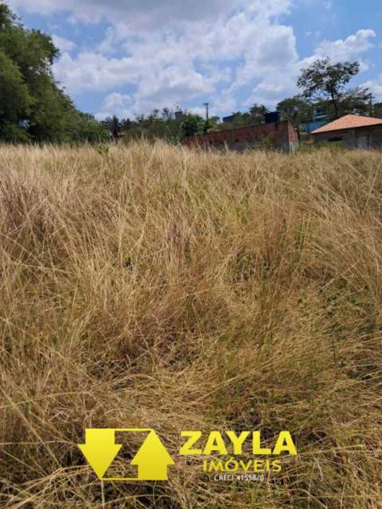 Terreno à venda, 407 - Foto 2