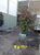 Apartamento, 1 quarto, 38 m² - Foto 4