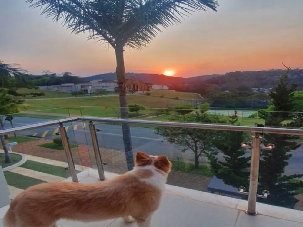 Casa, 3 quartos, 420 m² - Foto 3