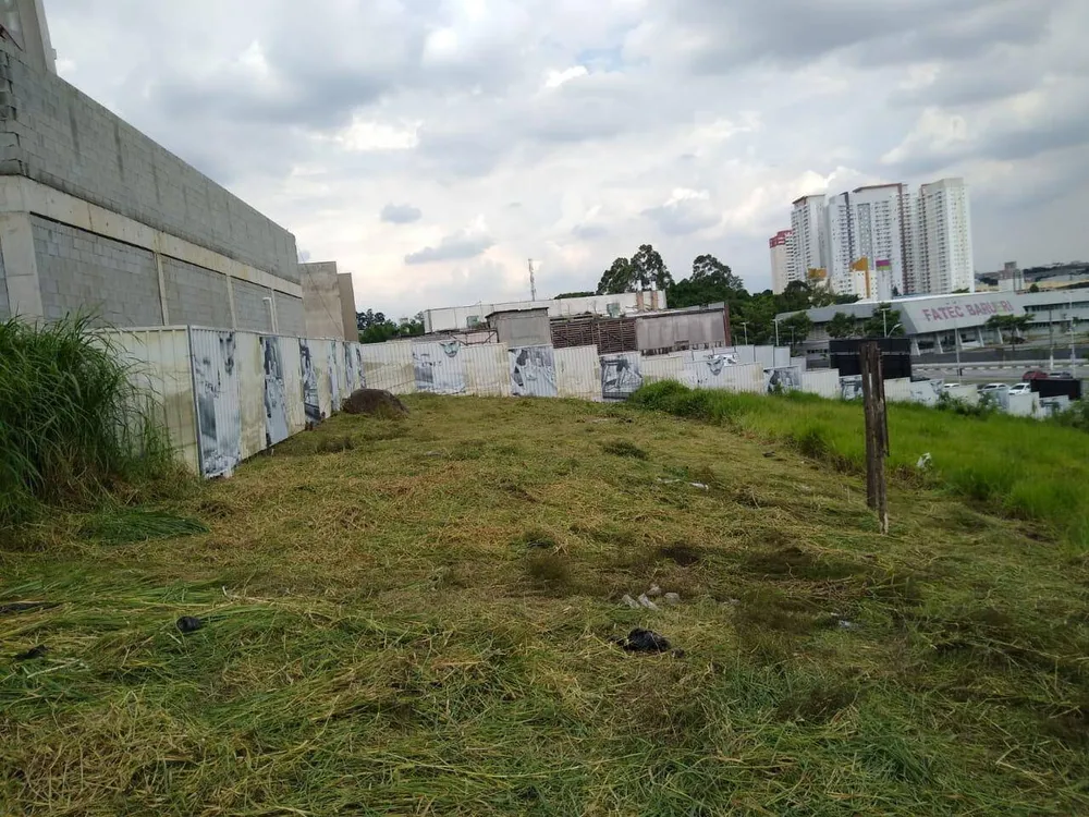 Terreno, 251 m² - Foto 3