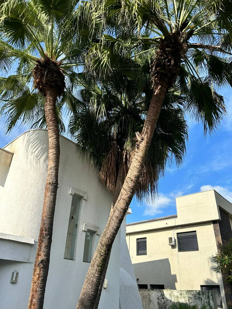 Casa, 4 quartos, 342 m² - Foto 4