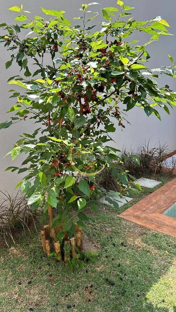 Casa, 4 quartos, 399 m² - Foto 7