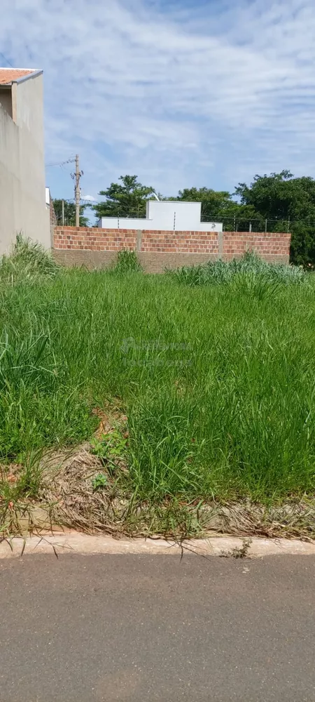 Terreno à venda, 245m² - Foto 4