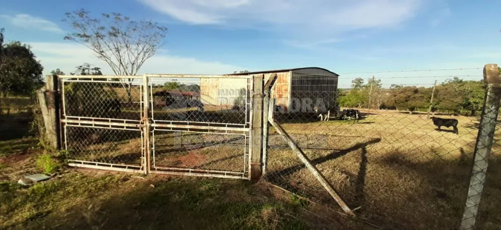 Sítio, 5 quartos, 6 hectares - Foto 1