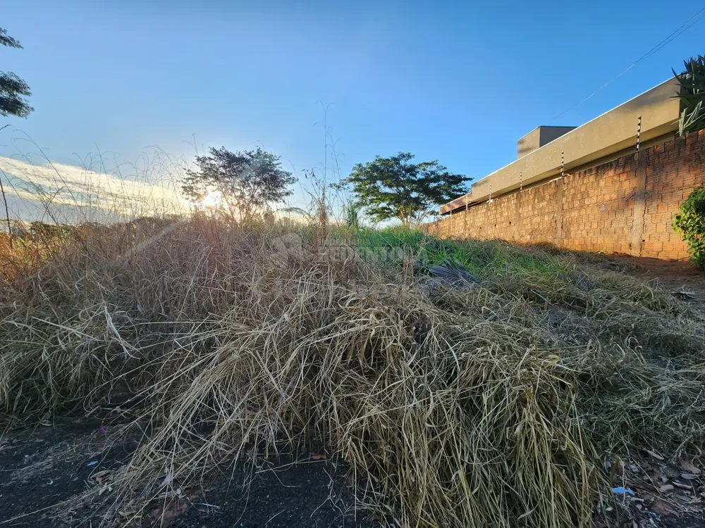 Terreno, 241 m² - Foto 1
