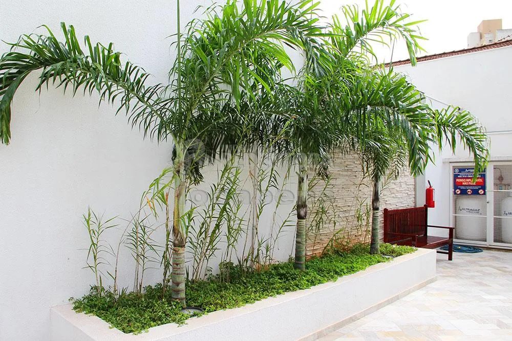 Apartamento, 1 quarto, 38 m² - Foto 3