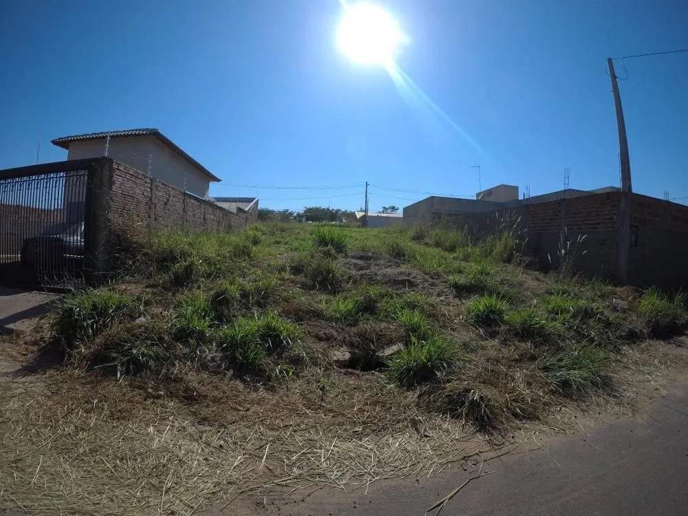 Terreno, 245 m² - Foto 3