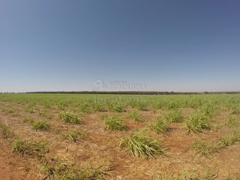 Fazenda, 109 hectares - Foto 6