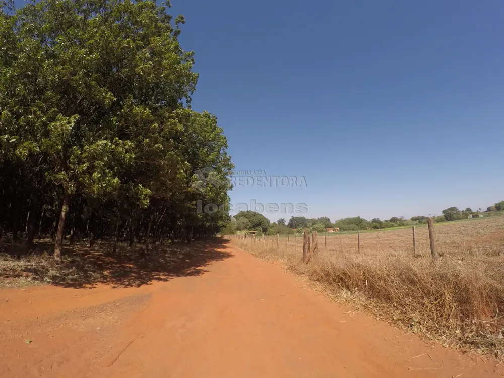 Fazenda, 109 hectares - Foto 3