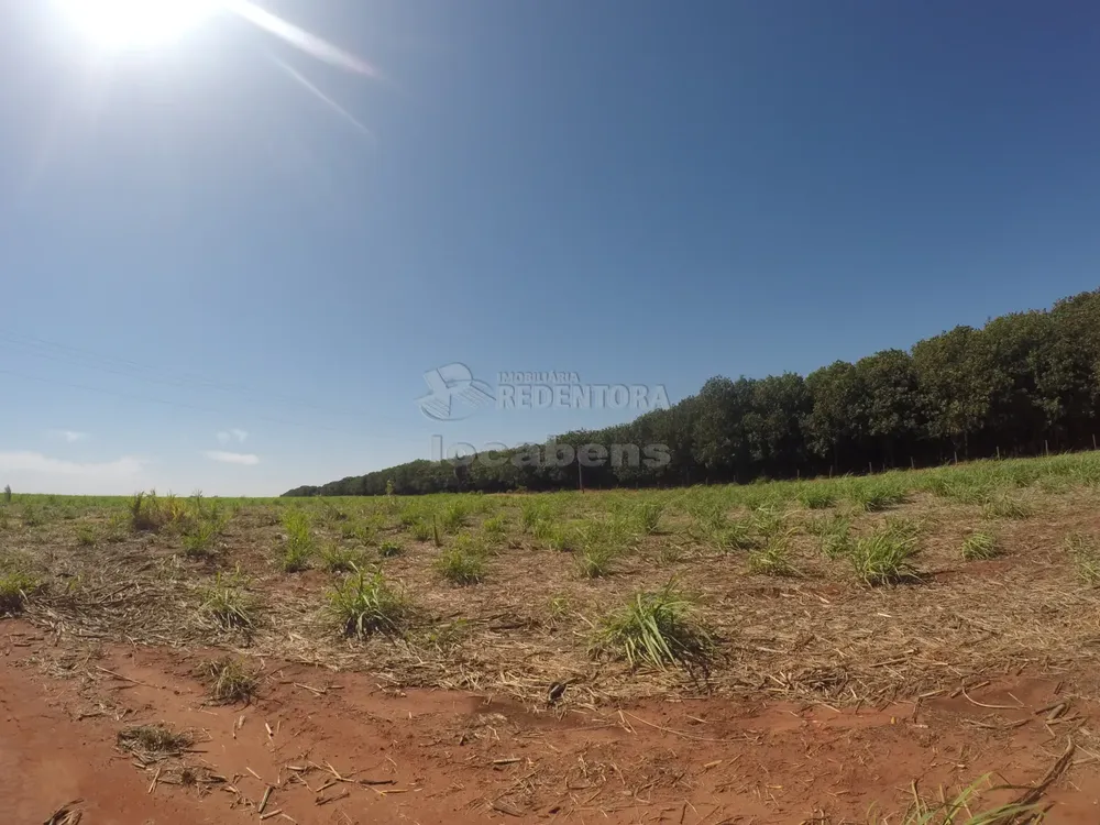 Fazenda, 109 hectares - Foto 4