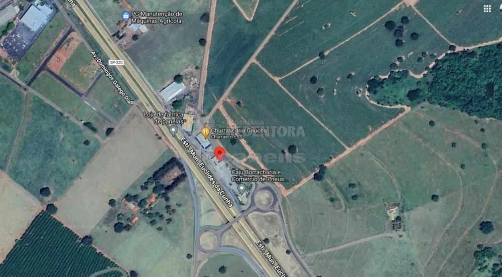Sítio, 29 hectares - Foto 1
