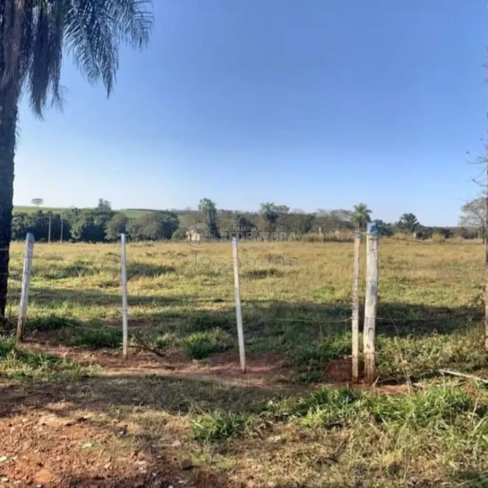 Sítio, 3 hectares - Foto 4