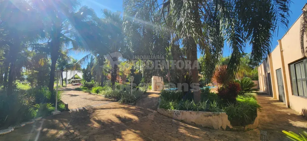 Chácara, 4 quartos, 5000 m² - Foto 5
