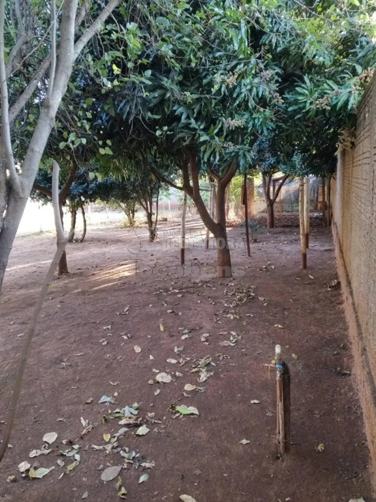 Chácara, 1 quarto, 5000 m² - Foto 1