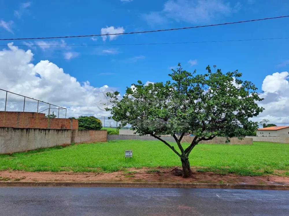 Terreno, 1000 m² - Foto 1