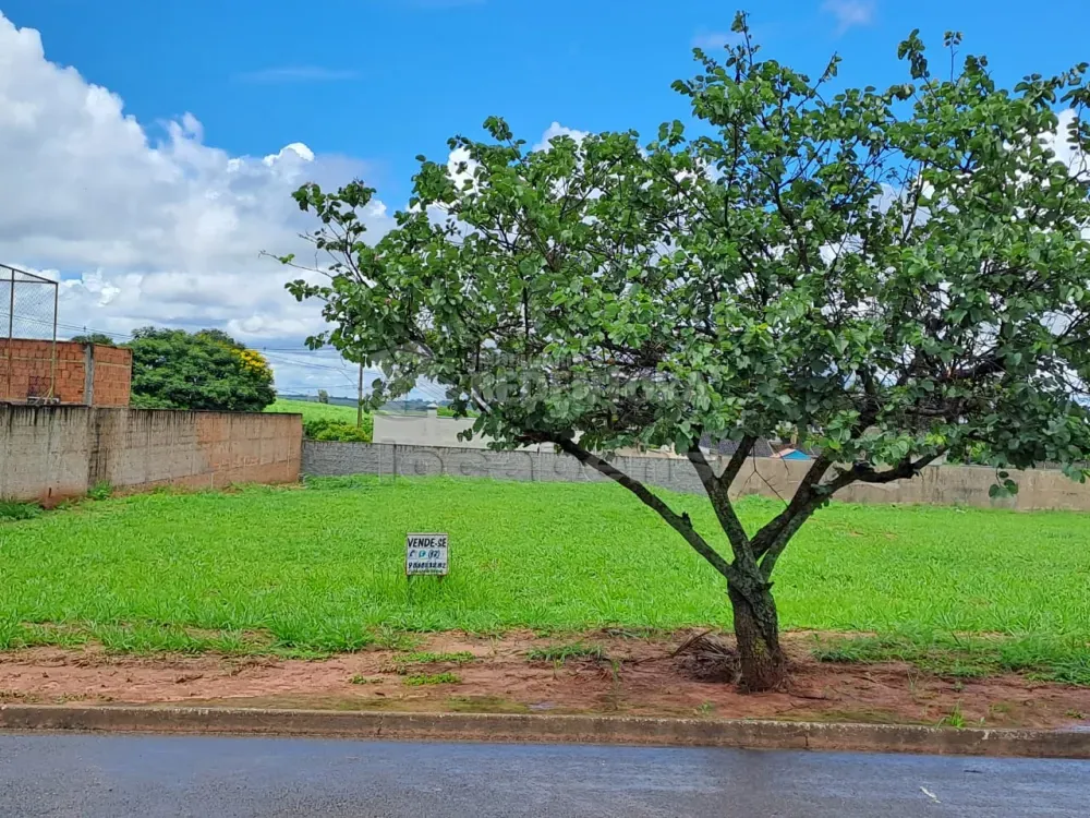 Terreno, 1000 m² - Foto 3