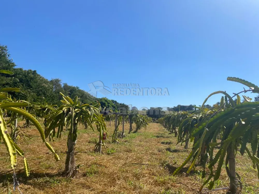 Sítio à venda com 4 quartos, 242000m² - Foto 4