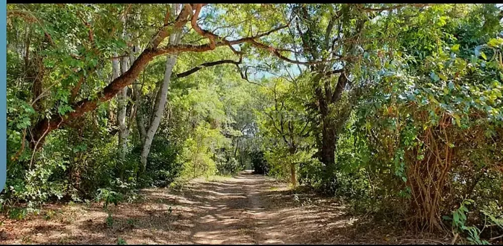 Chácara, 3 quartos, 450 m² - Foto 5