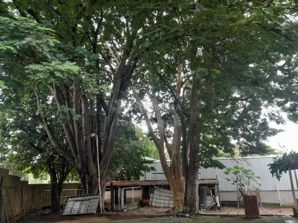 Chácara, 2 quartos, 7400 m² - Foto 4